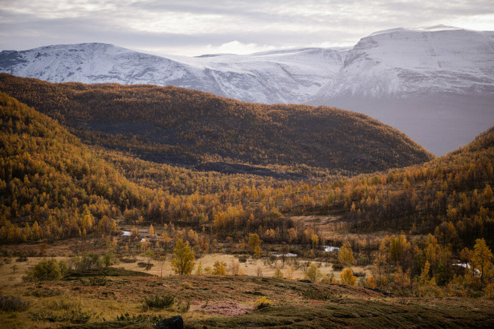 Vallée de Steindalen