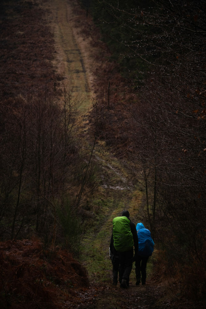 Entre Lesse et Lomme