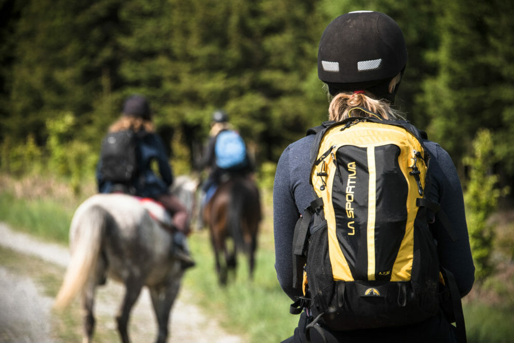 Randonner à cheval en Ardenne