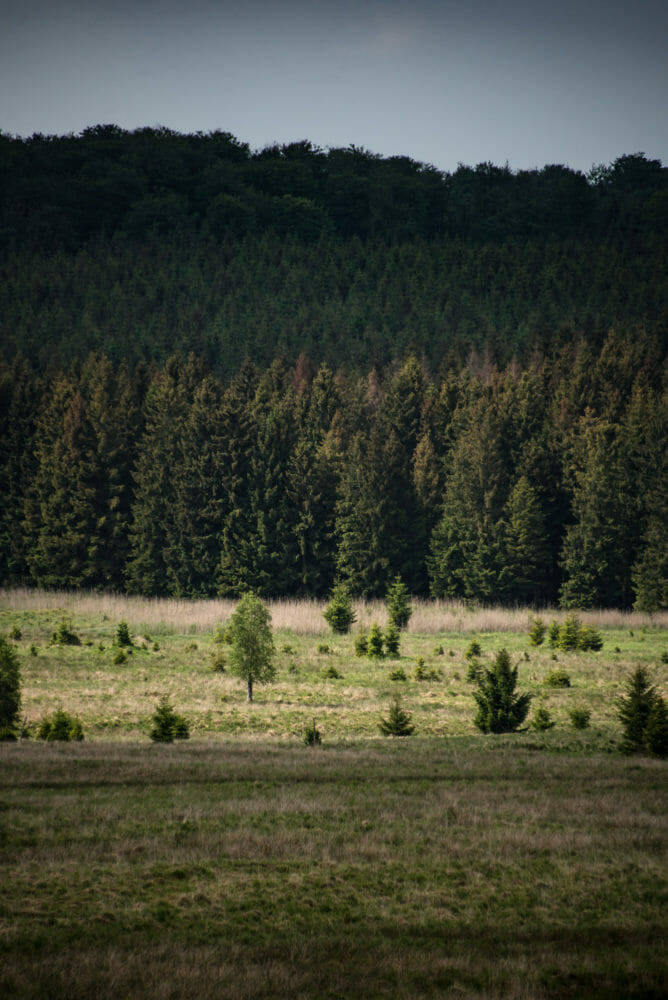 Fagne Saint Hubert