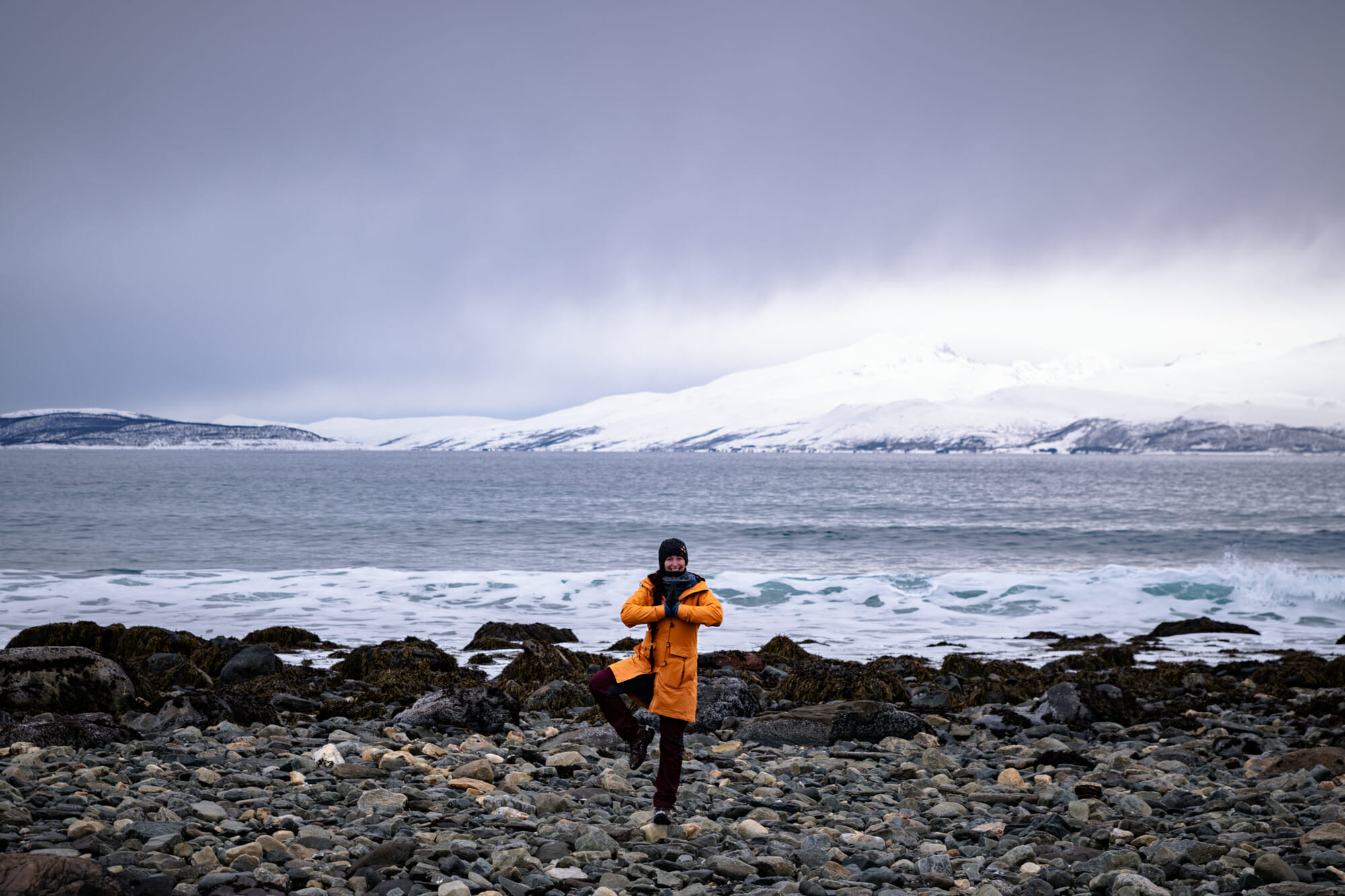 Rivages des Alpes de Lyngen