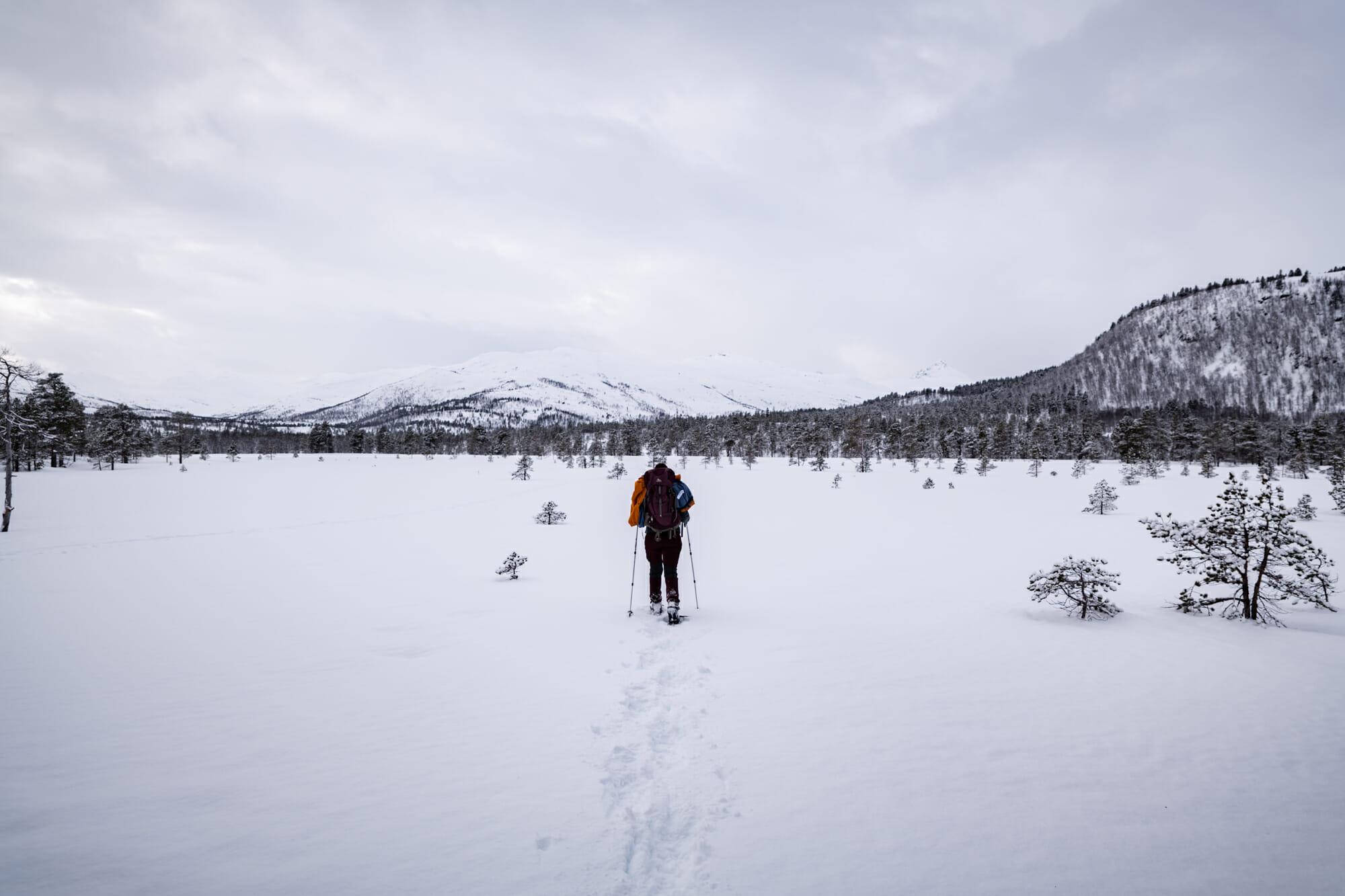 Randonneuse sur l'île de Senja en Norvège