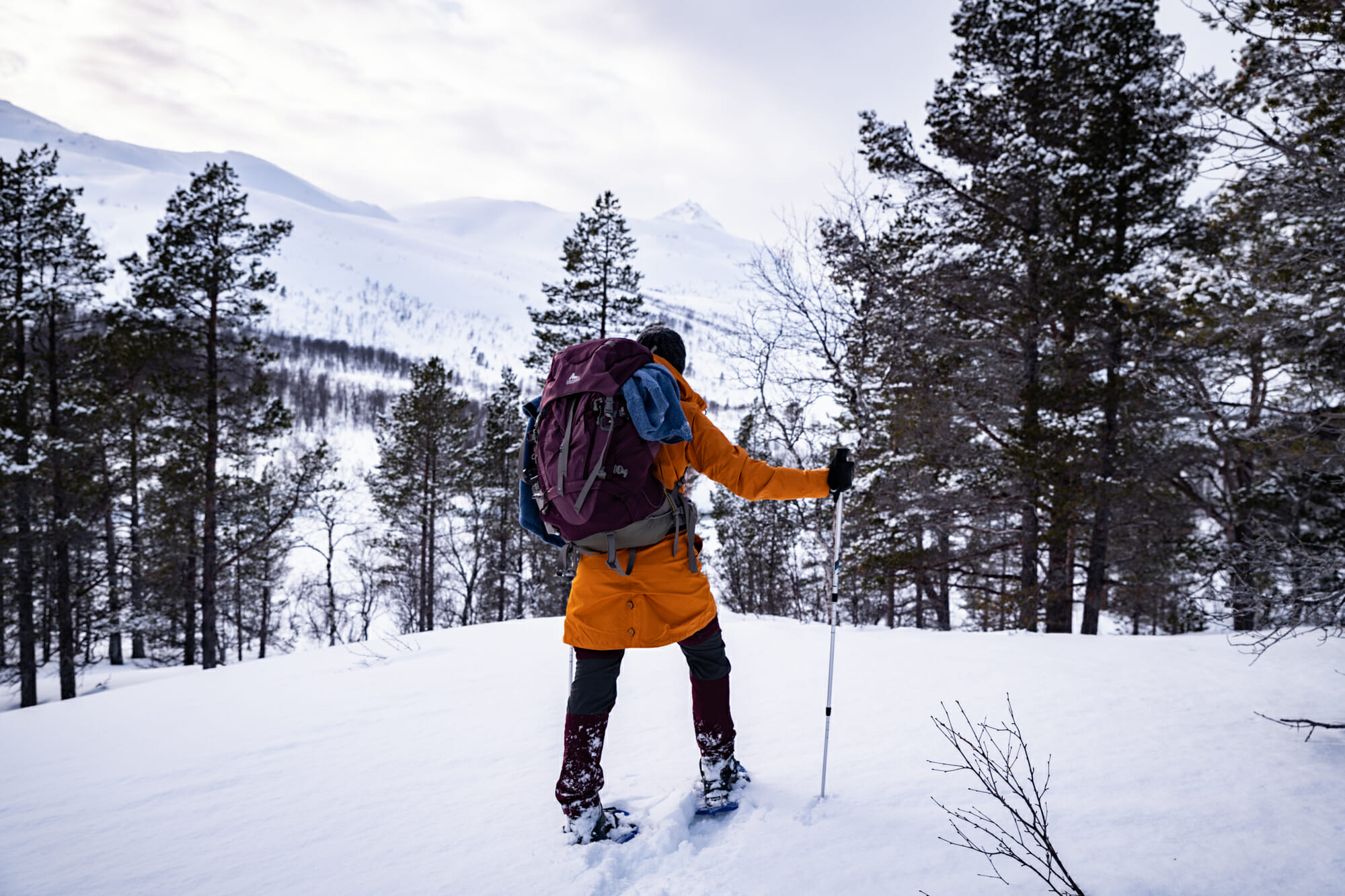 Randonneuse dans le parc national d'Ånderdalen