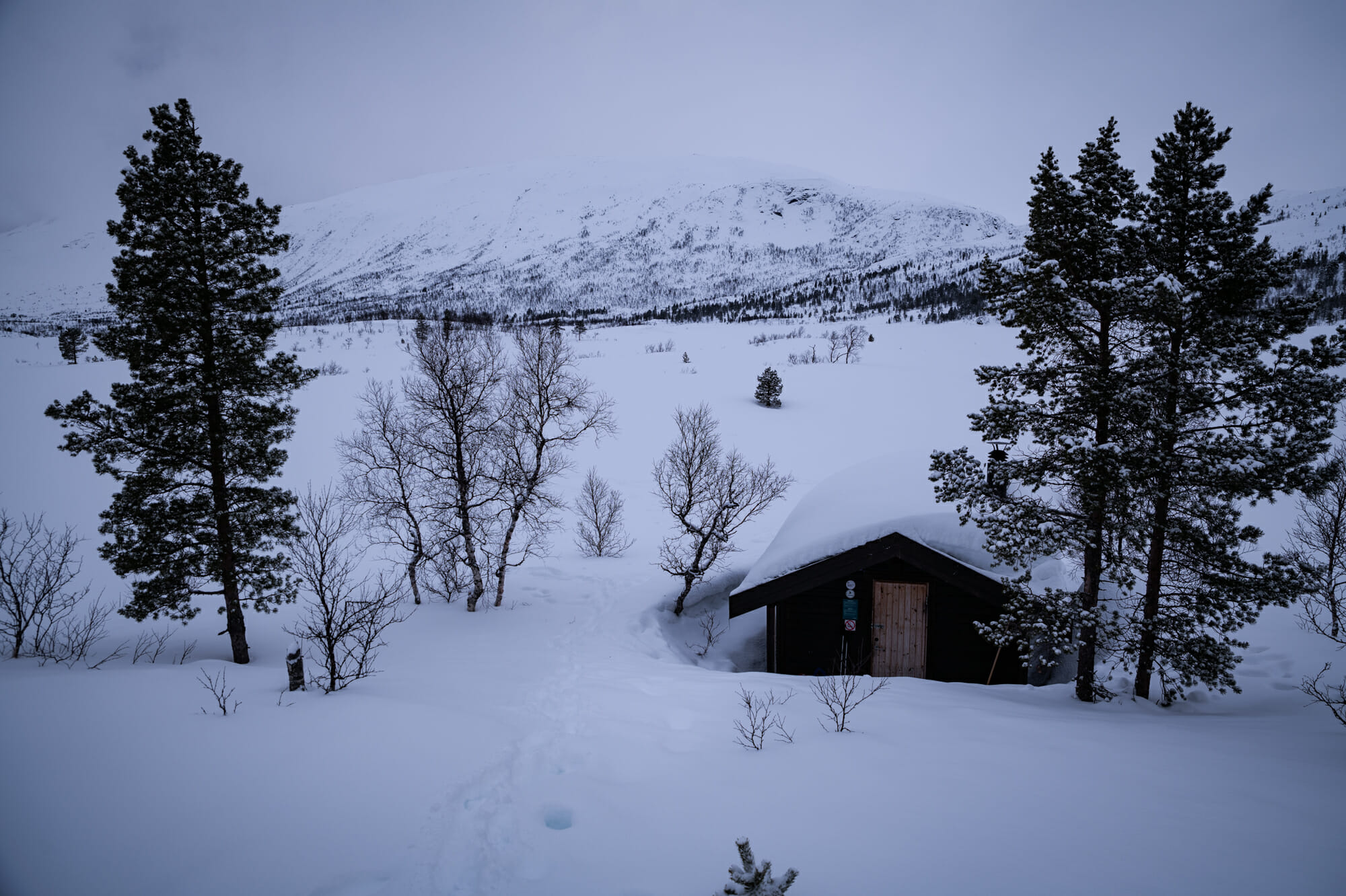 Cabane sur l'île de Senja