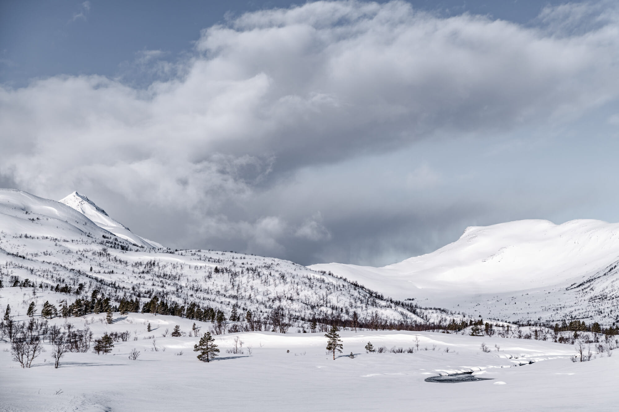 Parc national d'Ånderdalen