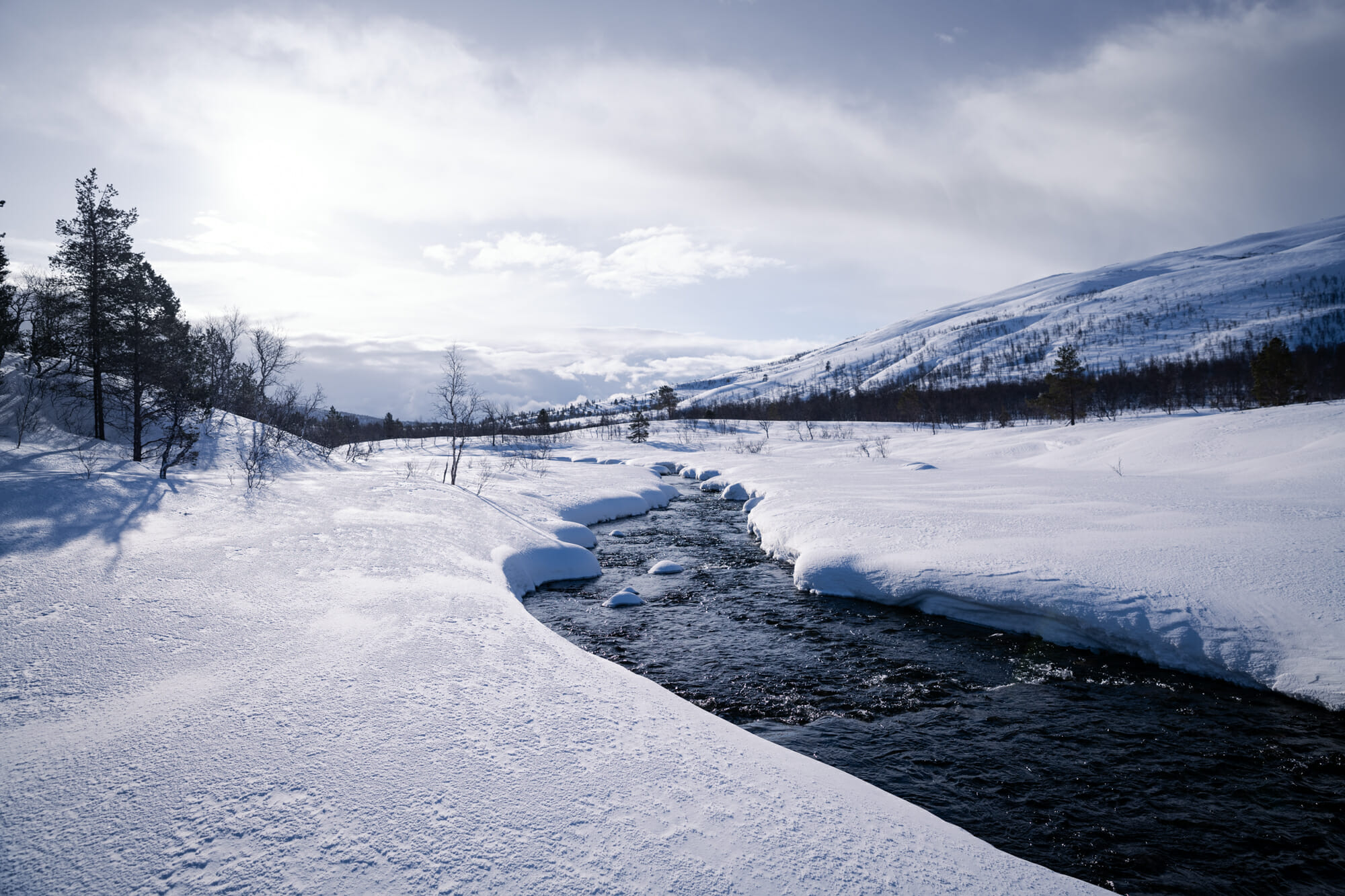 Parc national d'Ånderdalen