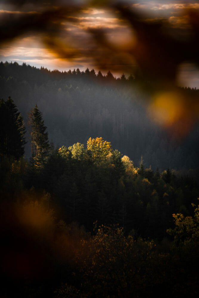 Vallée de l'Ourthe au crépuscule