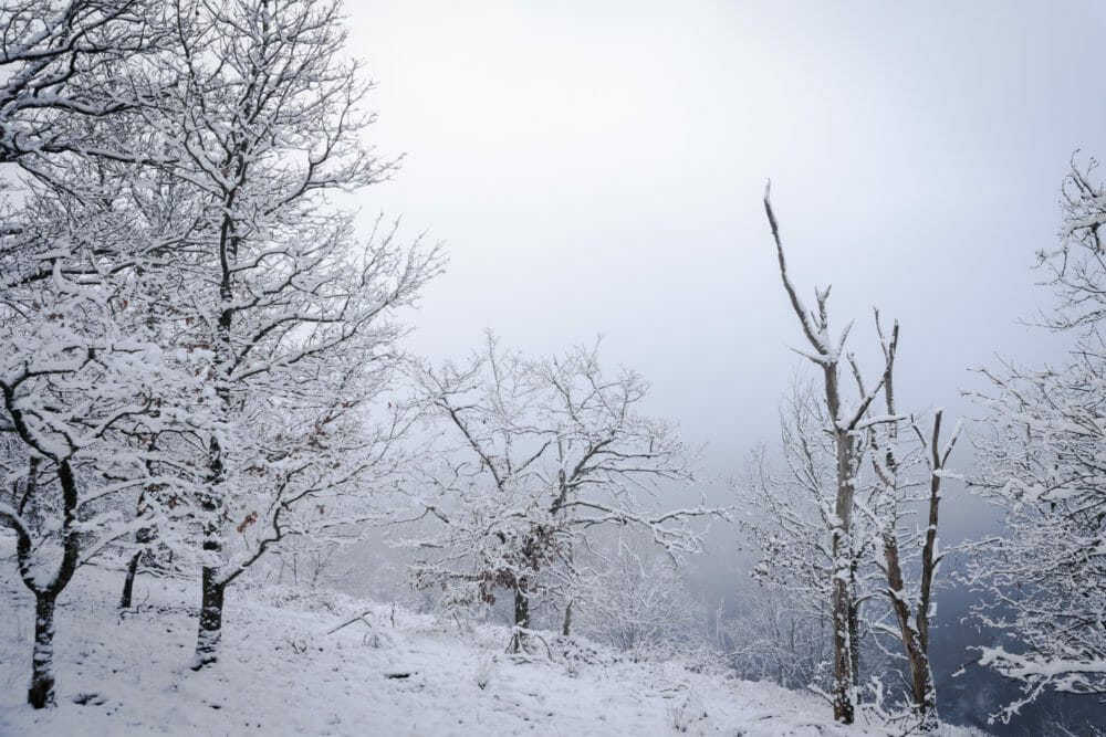 La Roche-en-Ardenne