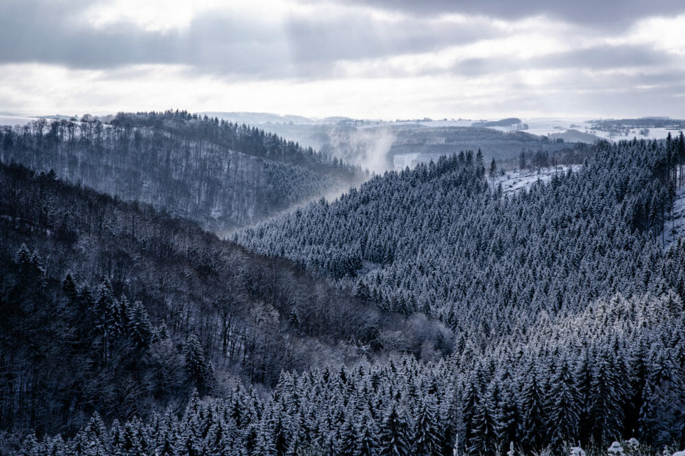 Paysage d'Ardenne