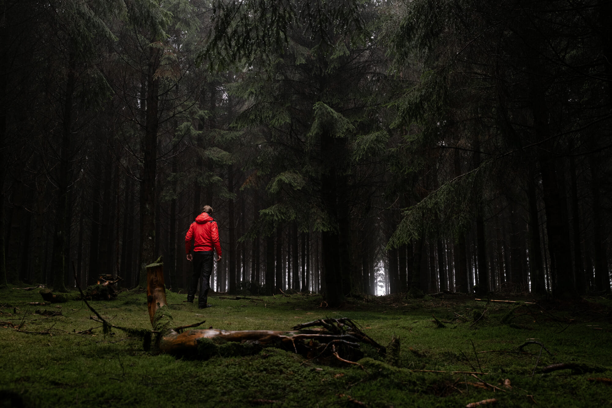 Randonneur en Forêt d'Anlier