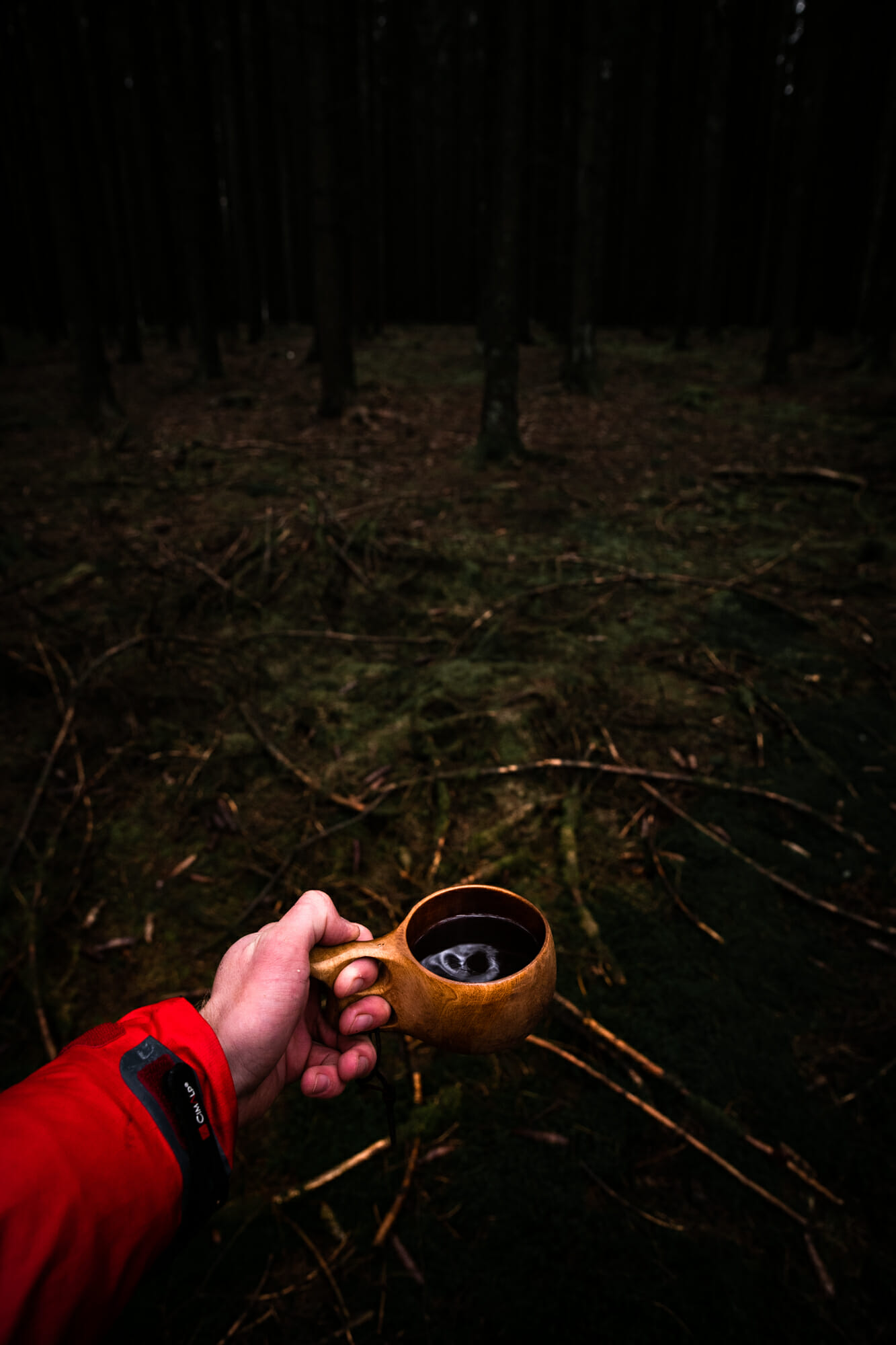 Kuksa en forêt d'Anlier