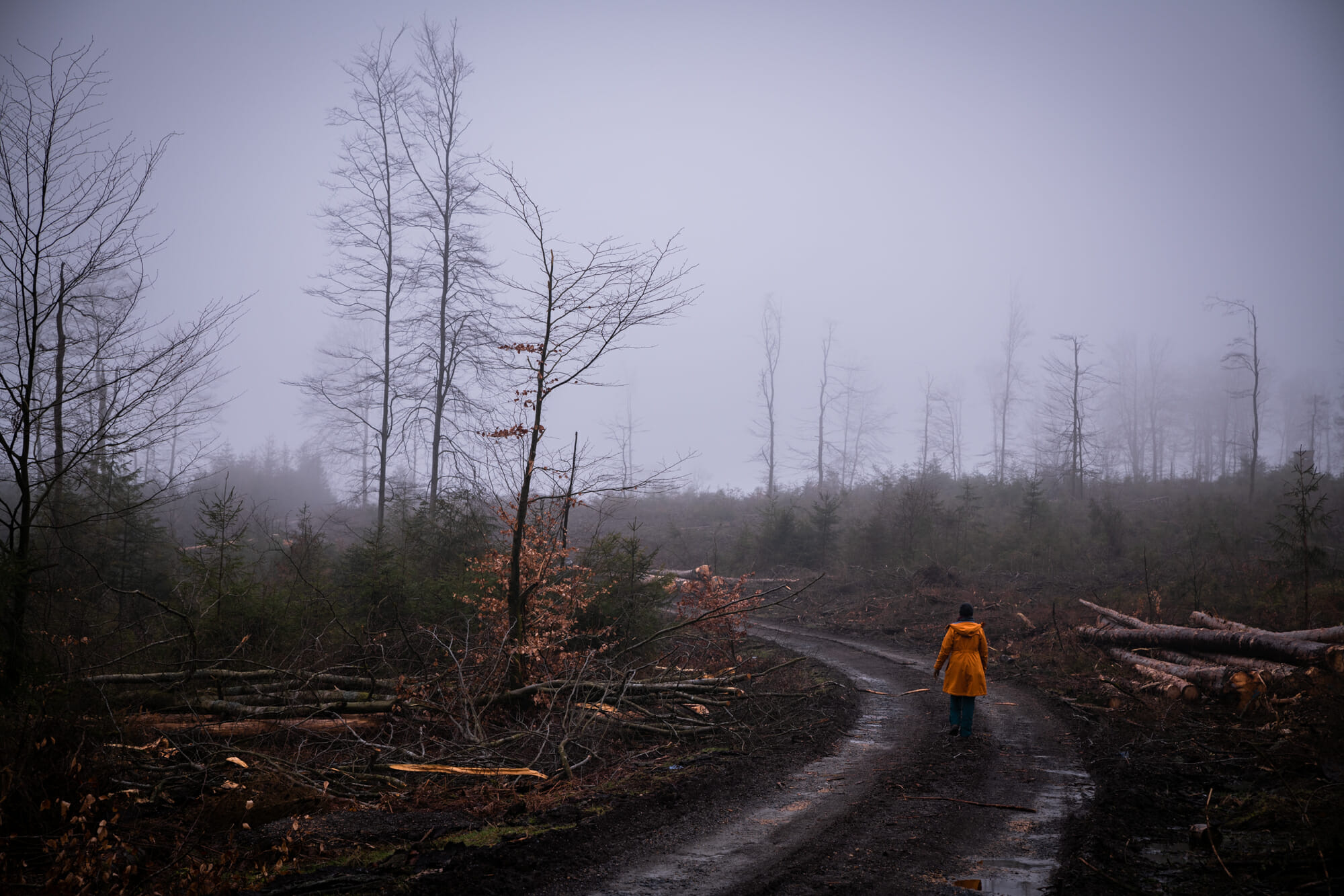 Balade Martelange en Forêt d'Anlier