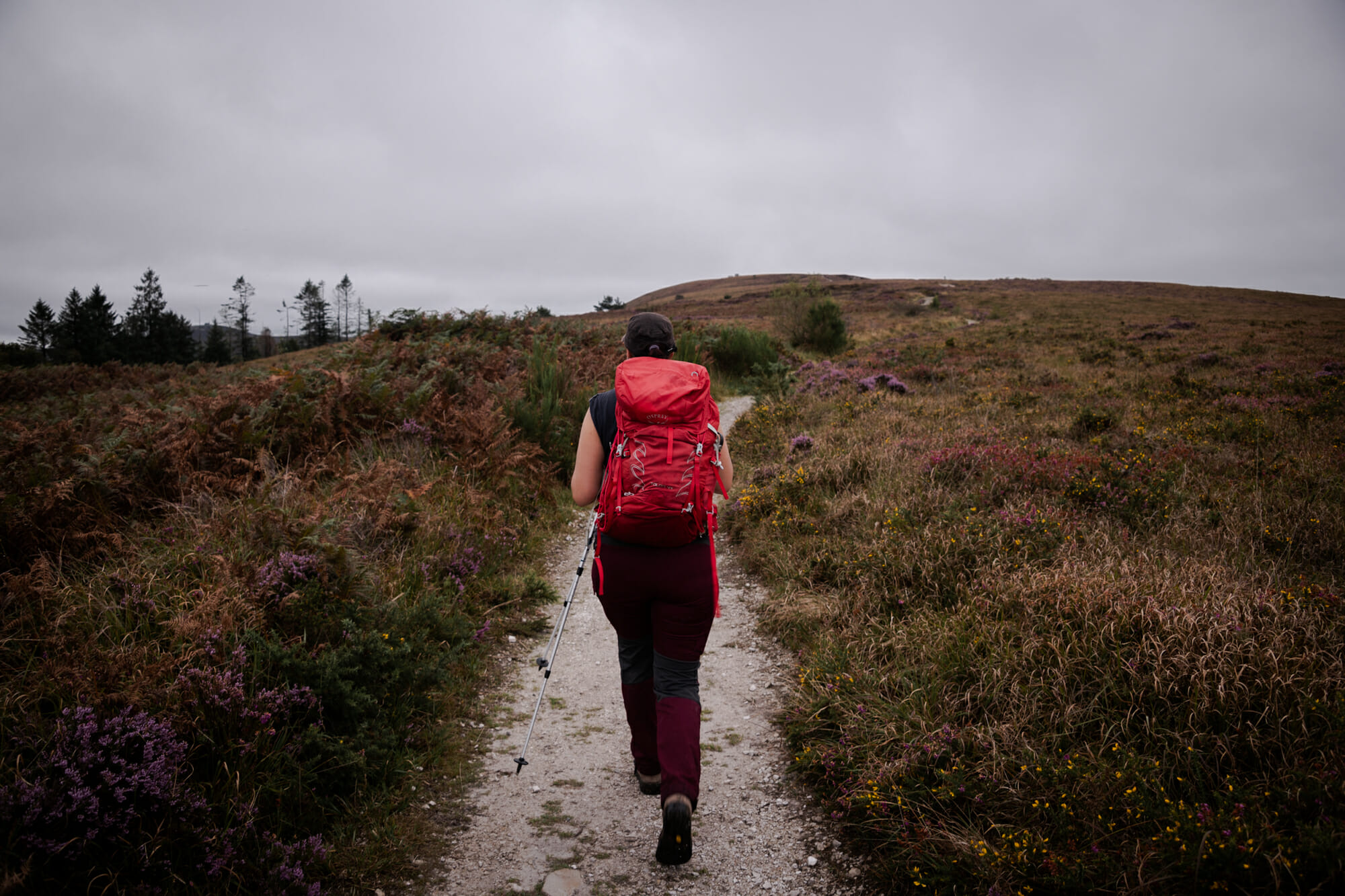 Randonneuse dans les Monts d'Arrée