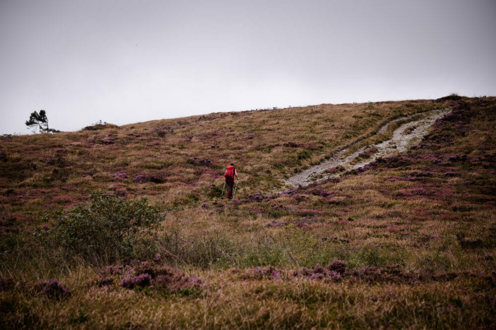 Randonneuse dans les Monts d'Arrée