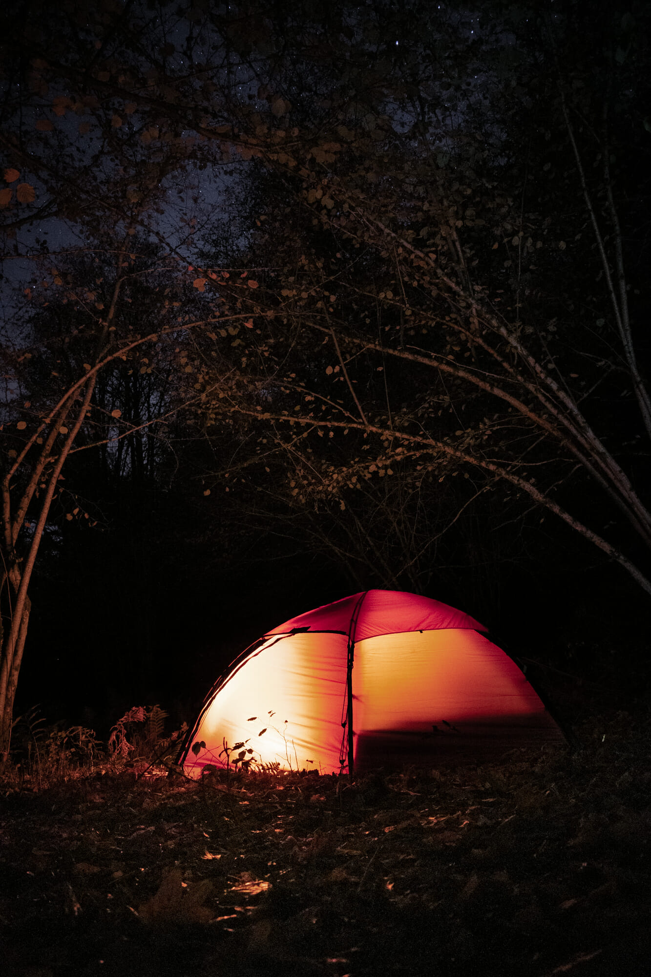 Bivouac en tente dans la vallée de la Semois