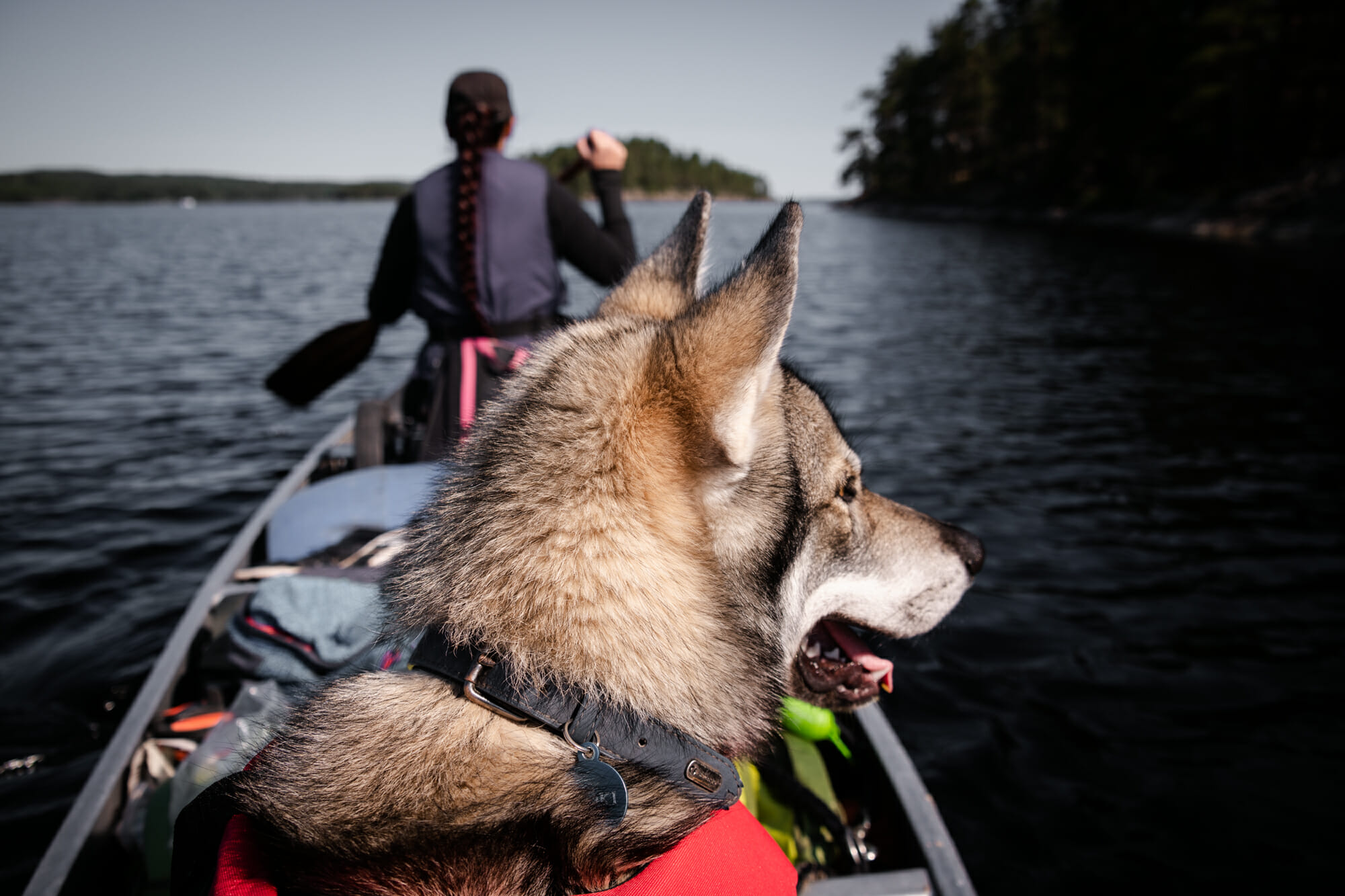 Canoë Trip avec mon chien