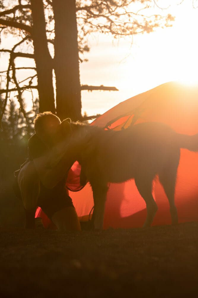 Flóki et Julien au coucher du soleil