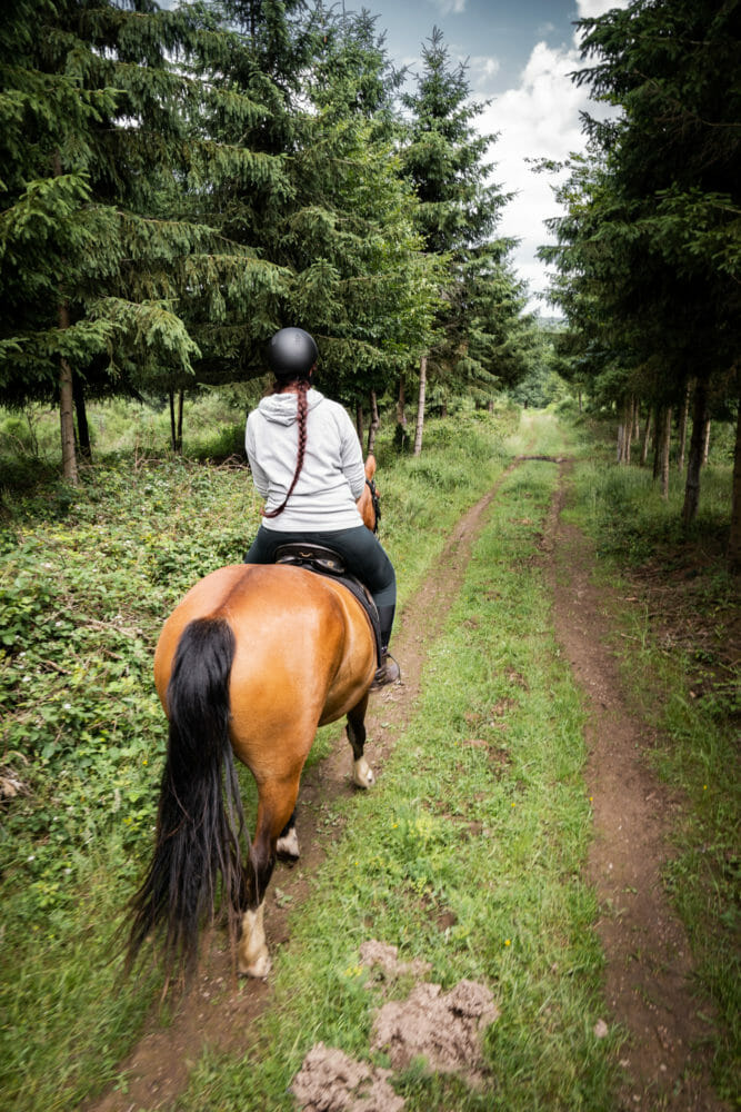 Randonnée à cheval en forêt de Saint-Hubert