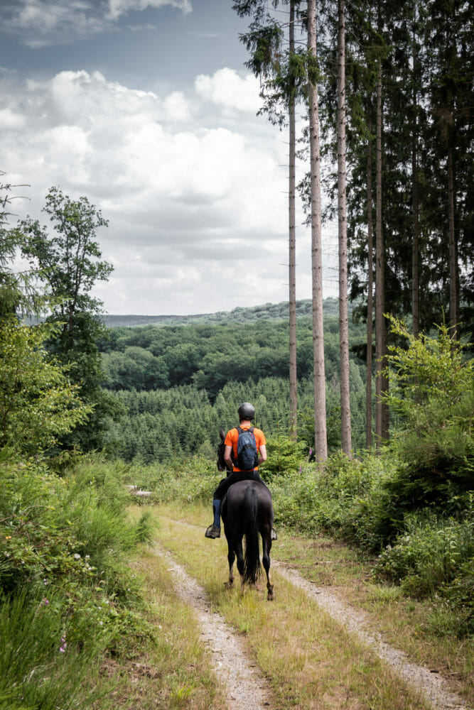 Randonner à cheval en forêt de Saint-Hubert