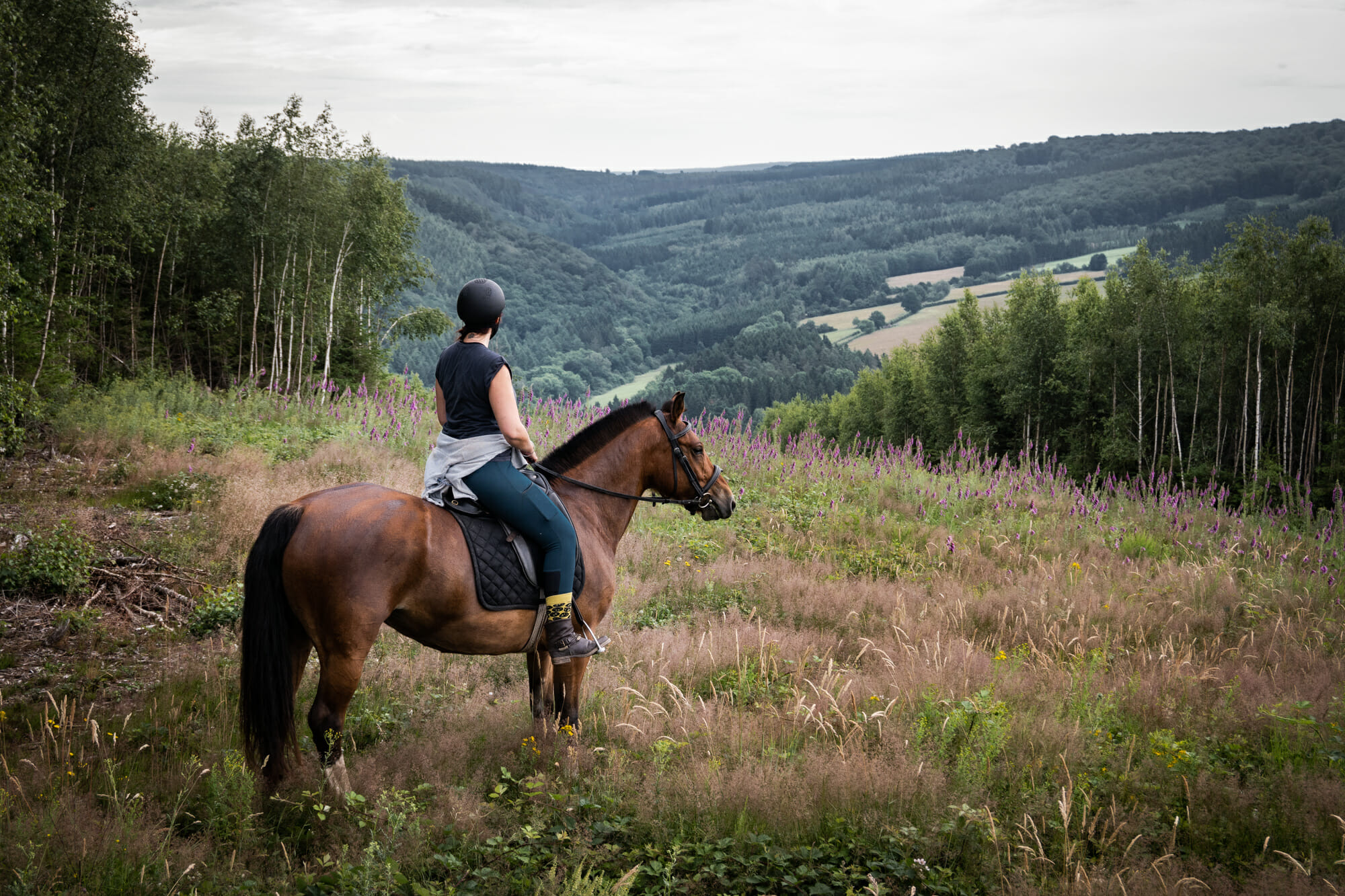 Randonnée à cheval en Ardenne, Saint-Hubert