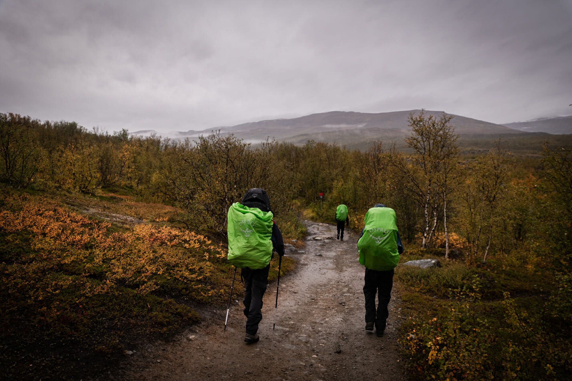 Kungsleden en Laponie suédoise