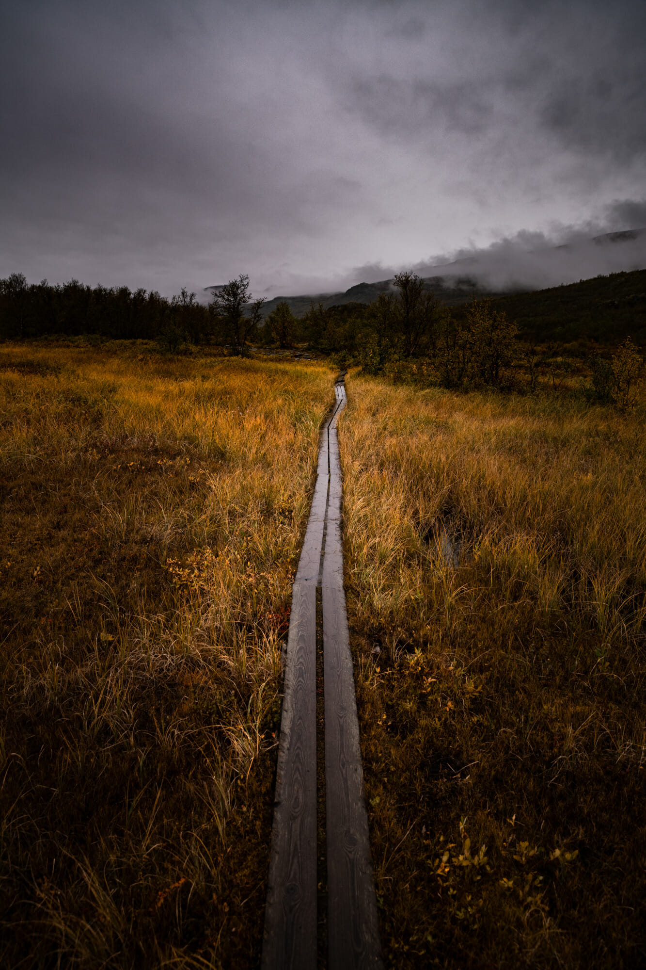 Kungsleden en Laponie suédoise