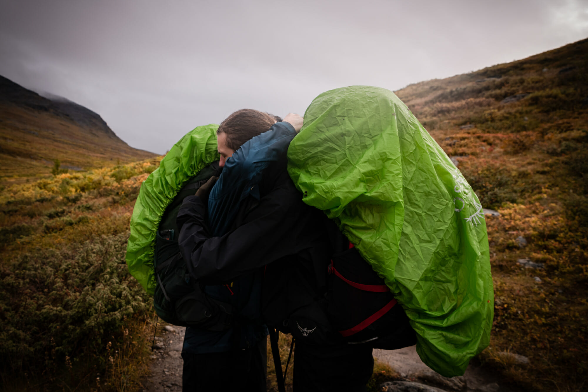 Kungsleden