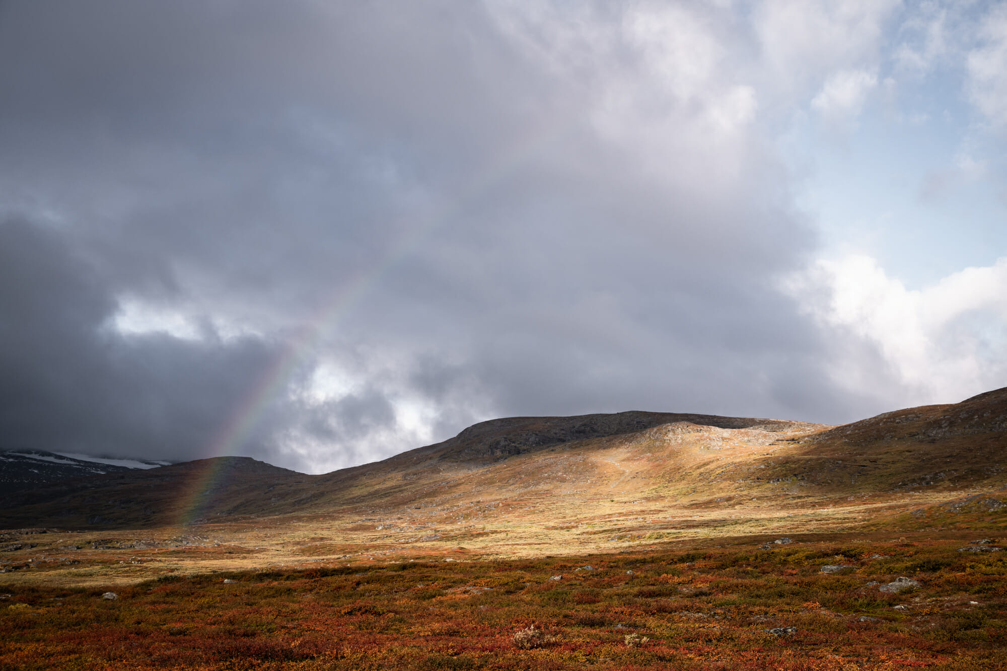 Kungsleden