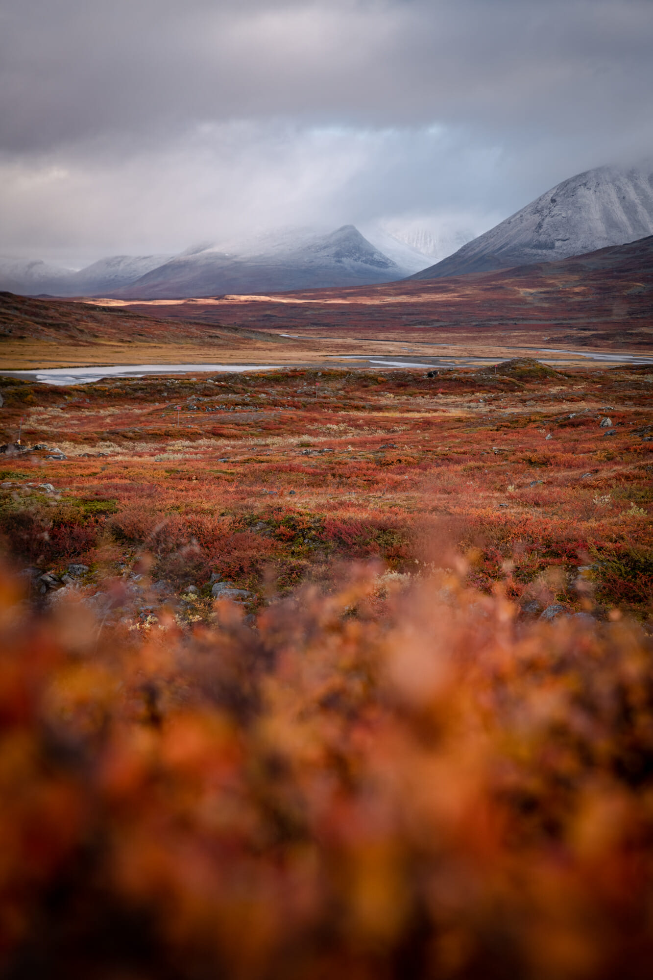 Vue depuis le Kungsleden