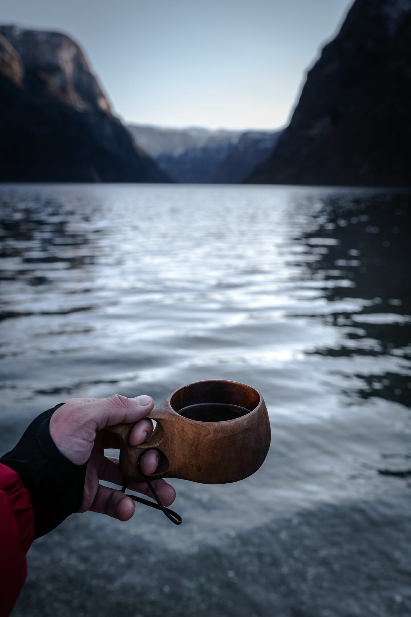 Kuksa dans le Nærøyfjord