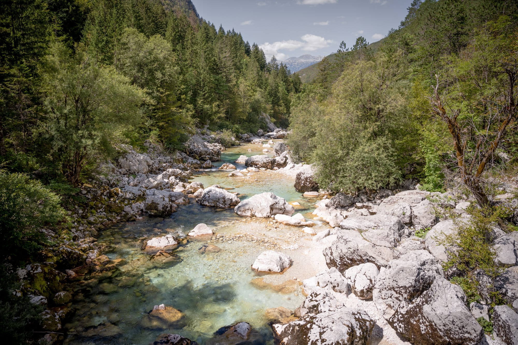 Affluent de la Soča en Slovénie