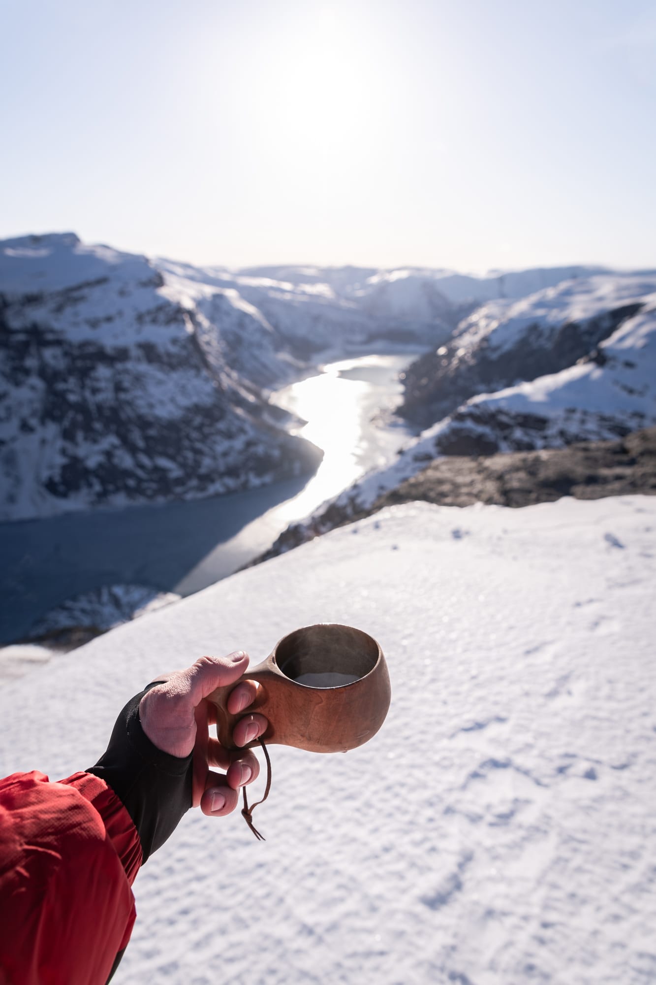 Kuksa dans l'Hardangervidda en hiver